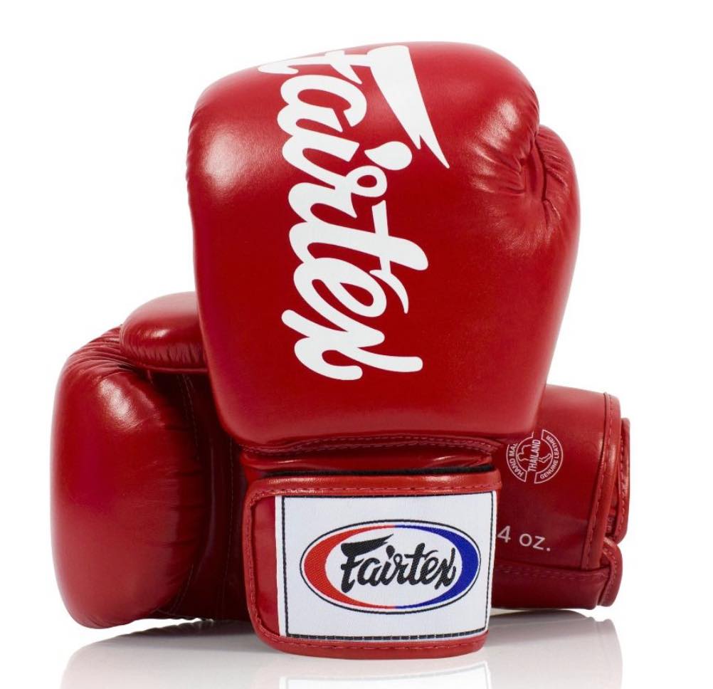 Deluxe Tight-Fit Gloves - BGV19 – Fairtex Official Online Store